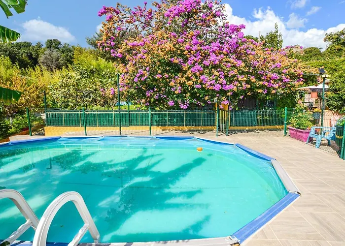 2 Bedroom Cozy In בית נופש